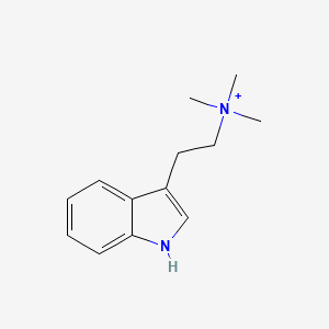 molecular formula C13H19N2+ B1233851 N,N,N-trimethyltryptamine 