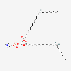 molecular formula C56H108NO8P B1234012 Dinervonylphosphatidylcholine CAS No. 51779-96-5