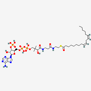 molecular formula C39H66N7O17P3S B1234279 Linoleoyl-coa CAS No. 6709-57-5