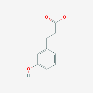 molecular formula C9H9O3- B1234328 3-(3-Hydroxyphenyl)propanoate 