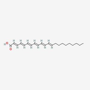 Docosa-2,4,6,8,10,12-hexaenoic acid