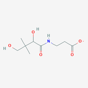 molecular formula C9H16NO5- B1234462 3-(2,4-Dihydroxy-3,3-dimethylbutanamido)propanoate 