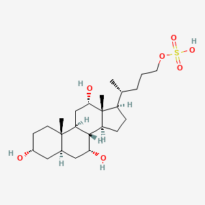 molecular formula C24H42O7S B1234464 Petromyzonol sulfate CAS No. 20311-93-7