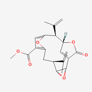 molecular formula C21H22O6 B1234494 methyl (2S,4R,5S,11S,12R)-14-oxo-5,11-bis(prop-1-en-2-yl)-3,13,16-trioxatetracyclo[10.2.1.17,10.02,4]hexadeca-1(15),7,9-triene-8-carboxylate 