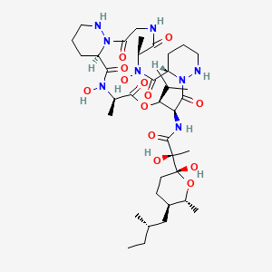 molecular formula C38H64N8O13 B1234537 (2S)-N-[(6S,9S,16S,17S,20R,23R)-7,21-dihydroxy-6,20-dimethyl-2,5,8,15,19,22-hexaoxo-17-propan-2-yl-18-oxa-1,4,7,13,14,21,27-heptazatricyclo[21.4.0.09,14]heptacosan-16-yl]-2-hydroxy-2-[(2R,5R,6R)-2-hydroxy-6-methyl-5-[(2S)-2-methylbutyl]oxan-2-yl]propanamide 
