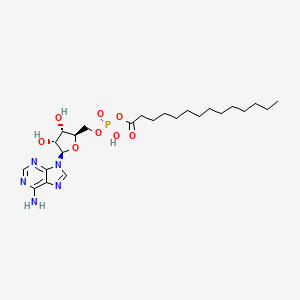 molecular formula C24H40N5O8P B1234559 tetradecanoyl-AMP 