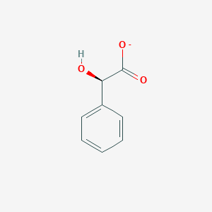 molecular formula C8H7O3- B1234573 (R)-Mandelate 
