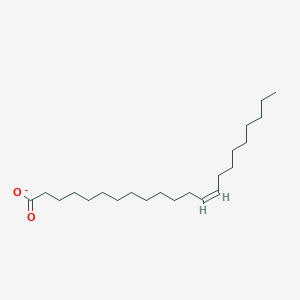 molecular formula C22H41O2- B1234575 Erucate 