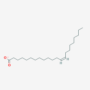 molecular formula C22H41O2- B1234575 芥酸 
