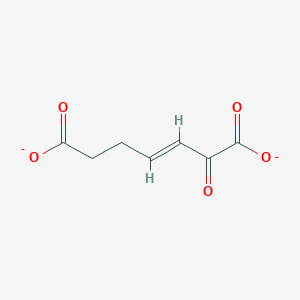molecular formula C7H6O5-2 B1234619 2-Oxohept-3-enedioate 