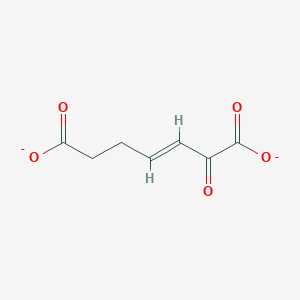 2-Oxohept-3-enedioate