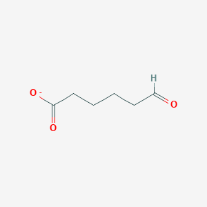 molecular formula C6H9O3- B1234620 6-Oxohexanoate 