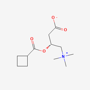 Cyclobutanecarbonylcarnitine