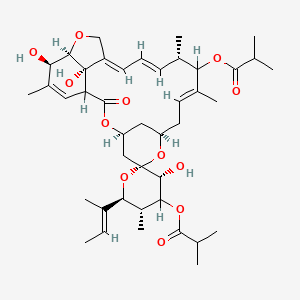 molecular formula C42H60O12 B1234853 [(3'R,4S,5'R,6S,6'S,8R,10E,13S,14E,16E,20R,21R,24S)-6'-[(E)-But-2-en-2-yl]-3',21,24-trihydroxy-5',11,13,22-tetramethyl-12-(2-methylpropanoyloxy)-2-oxospiro[3,7,19-trioxatetracyclo[15.6.1.14,8.020,24]pentacosa-10,14,16,22-tetraene-6,2'-oxane]-4'-yl] 2-methylpropanoate CAS No. 127346-84-3