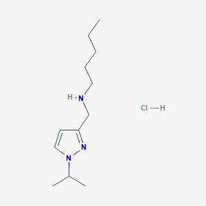 molecular formula C12H24ClN3 B12348548 [(1-isopropyl-1H-pyrazol-3-yl)methyl]pentylamine CAS No. 1856085-85-2