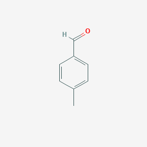 molecular formula C8H8O B123495 4-甲基苯甲醛 CAS No. 104-87-0
