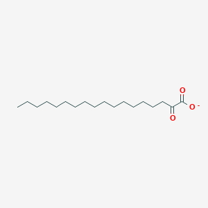 molecular formula C18H33O3- B1234979 2-Oxostearate 
