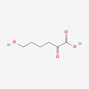 6-Hydroxy-2-oxohexanoic acid