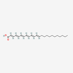 molecular formula C24H36O2 B1235011 Nisinic acid CAS No. 81247-23-6