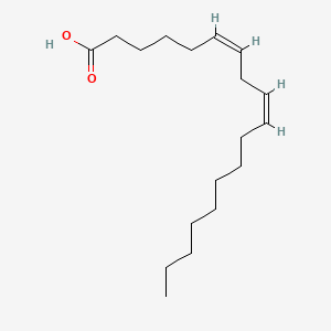 6Z,9Z-octadecadienoic acid
