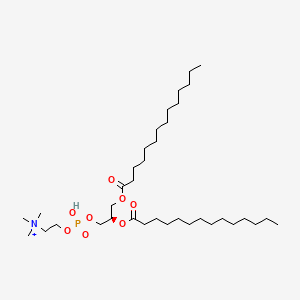 molecular formula C36H73NO8P+ B1235183 Dimyristoylphosphatidylcholine 