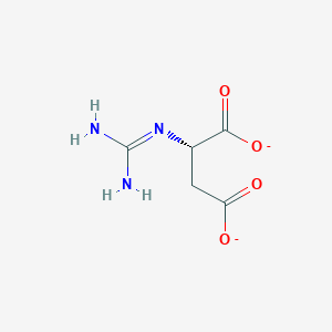 N-amidino-L-aspartate(2-)