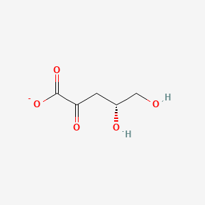 molecular formula C5H7O5- B1235259 2-Dehydro-3-deoxy-L-arabinonate 