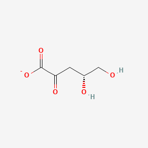 2-Dehydro-3-deoxy-L-arabinonate
