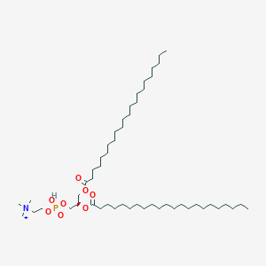 molecular formula C52H105NO8P+ B1235290 Dibehenoylphosphatidylcholine 