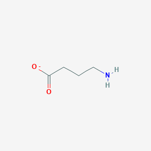 molecular formula C4H8NO2- B1235393 gamma-Aminobutyrate 