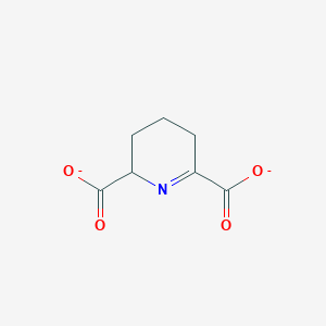 molecular formula C7H7NO4-2 B1235398 2,3,4,5-Tetrahydropyridine-2,6-dicarboxylate 