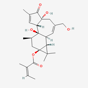 molecular formula C25H34O6 B1235428 12-去氧佛波醇-13-天使酯 CAS No. 65700-60-9