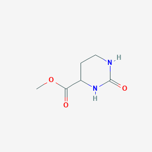 molecular formula C6H10N2O3 B12354282 Methyl 2-oxo-1,3-diazinane-4-carboxylate 