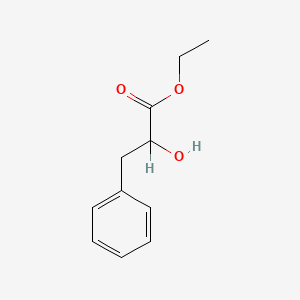 molecular formula C11H14O3 B1235544 乙酸2-羟基-3-苯基丙酸酯 CAS No. 15399-05-0