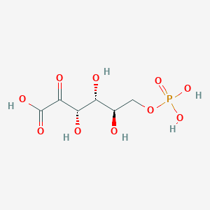 molecular formula C6H11O10P B1235593 6-phospho-2-dehydro-D-gluconate 