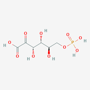 6-phospho-2-dehydro-D-gluconate