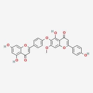 molecular formula C31H20O10 B1235652 Isocryptomerin CAS No. 20931-58-2