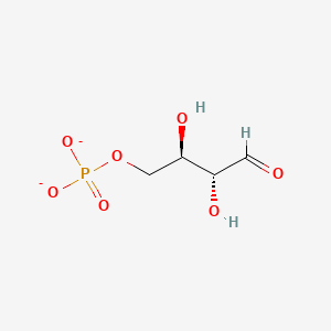 molecular formula C4H7O7P-2 B1235671 D-erythrose 4-phosphate(2-) 