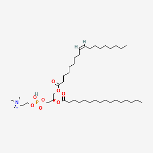 molecular formula C42H83NO8P+ B1235694 O-[1-O-[(Z)-9-Octadecenoyl]-2-O-hexadecanoyl-L-glycero-3-phospho]choline 
