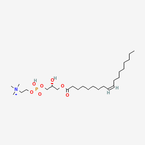 molecular formula C26H53NO7P+ B1235696 1-Oleoylglycerophosphocholine 