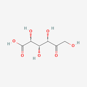 molecular formula C6H10O7 B1235716 5-keto-D-gluconic acid CAS No. 815-89-4