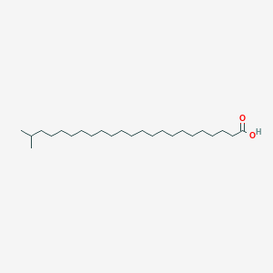 22-Methyltricosanoic acid