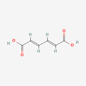 molecular formula C6H6O4 B1236063 2,4-Hexadienedioic acid, (2Z,4Z)- CAS No. 505-70-4
