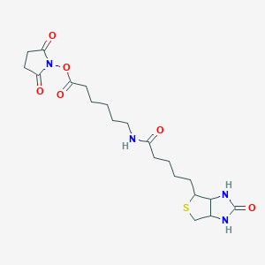 molecular formula C20H30N4O6S B1236131 Biotin-X-NHS 