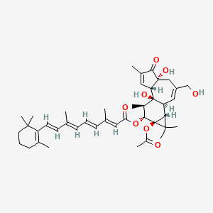 12-O-Retinoylphorbol-13-acetate