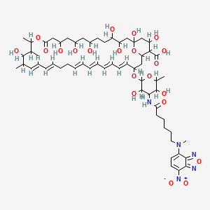 molecular formula C60H89N5O21 B1236206 Nbd-nys-A1 CAS No. 96475-98-8