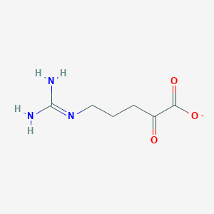 5-Guanidino-2-oxopentanoate