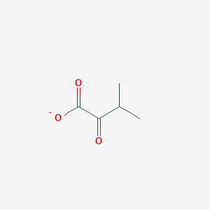 molecular formula C5H7O3- B1236294 3-Methyl-2-oxobutanoate 