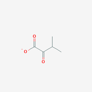 3-Methyl-2-oxobutanoate