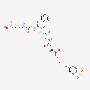molecular formula C29H35N7O10S B12363076 Anti-Mouse TIM-2 Antibody (RMT2-29) 